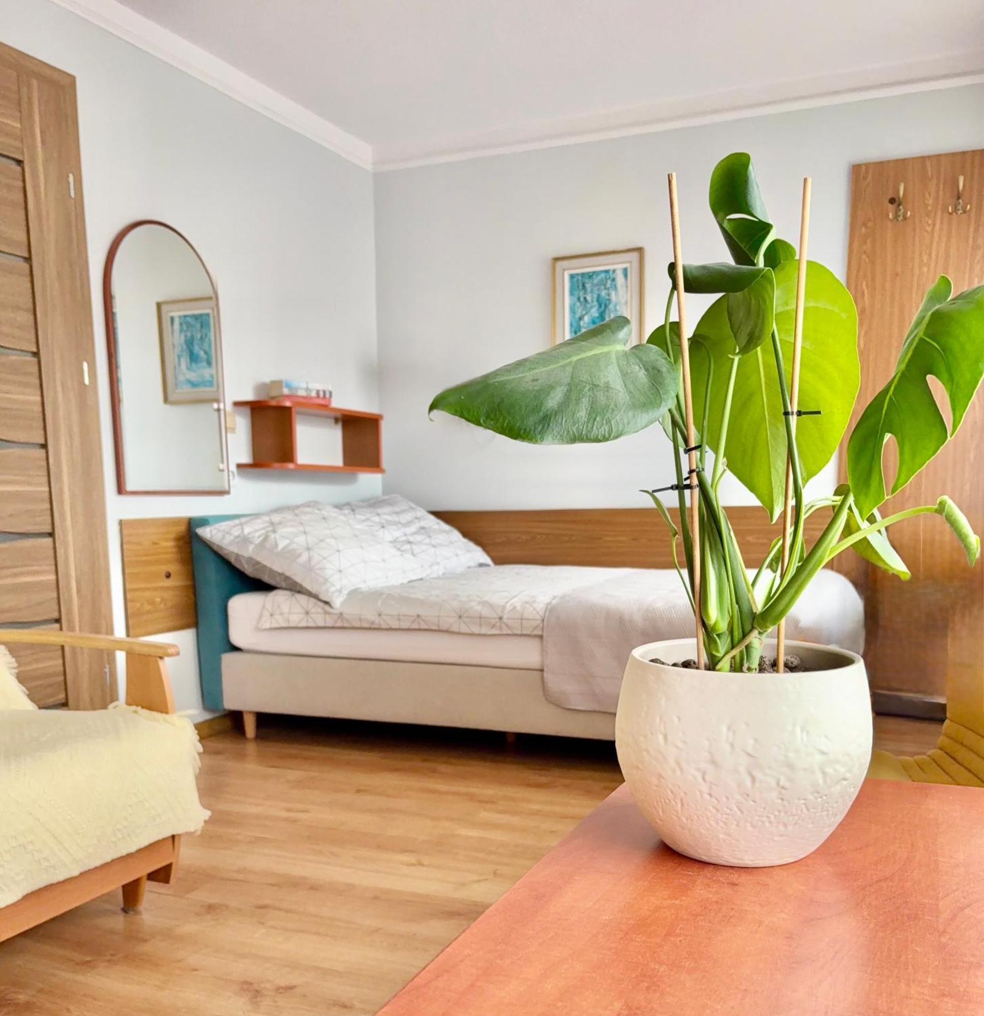 Fonica Bed & Breakfast Leba Exterior photo
